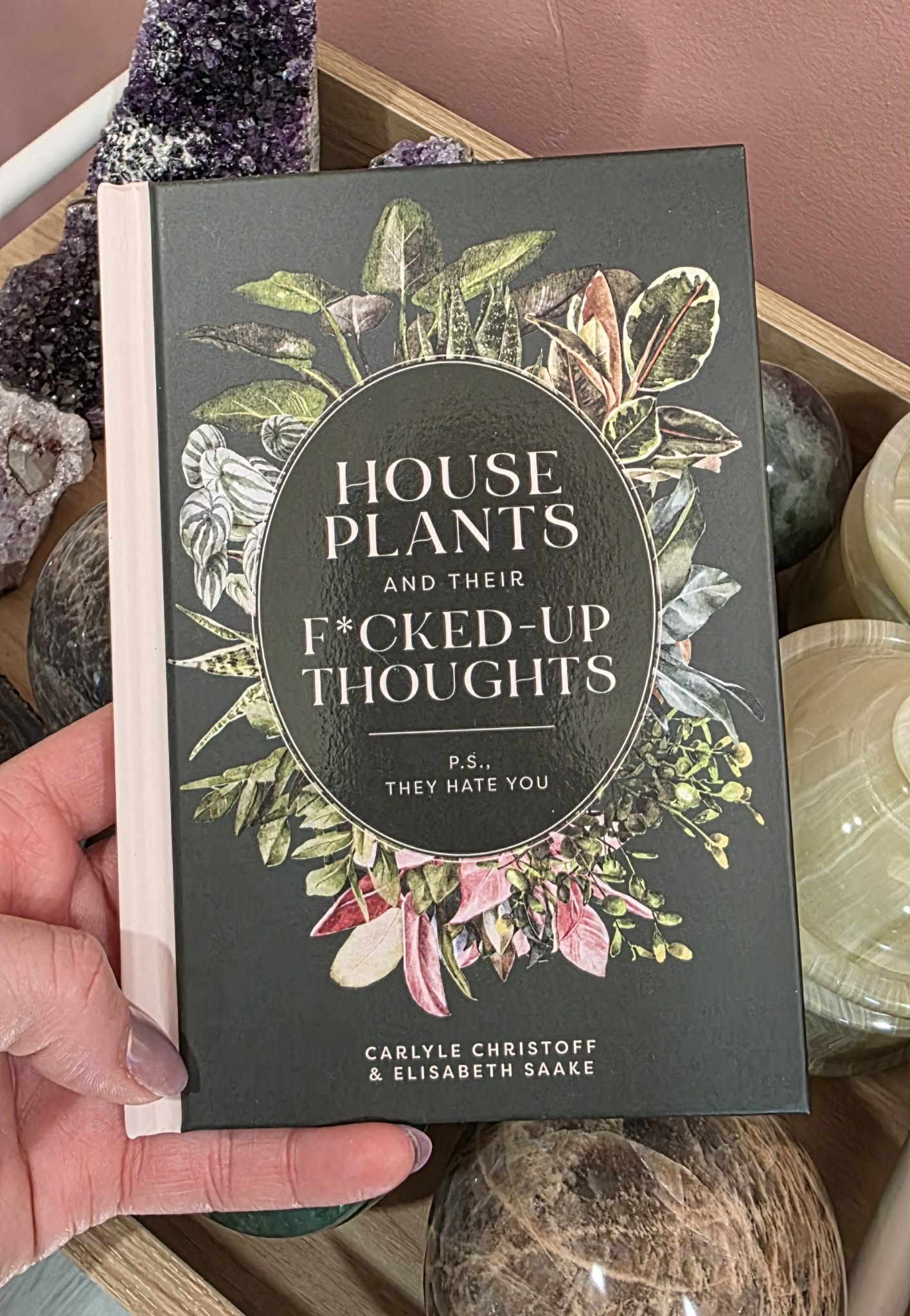 Houseplants and Their F*cked-Up Thoughts by Carlyle Christoff