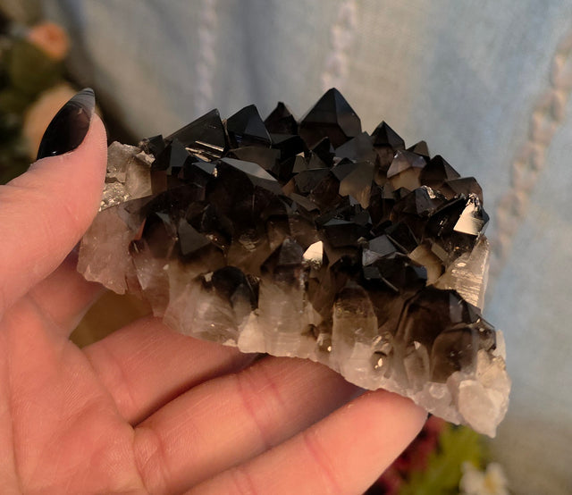 Smoky Quartz Cluster's