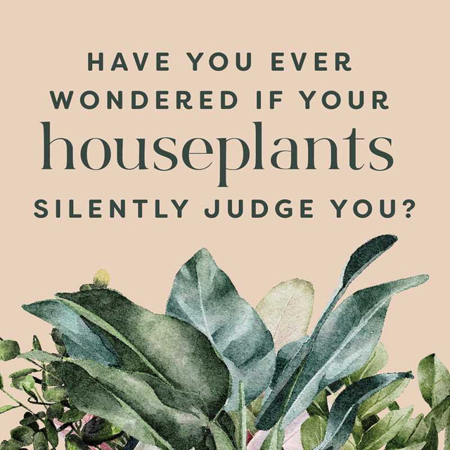 Houseplants and Their F*cked-Up Thoughts by Carlyle Christoff