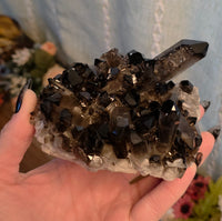 Smoky Quartz Cluster's