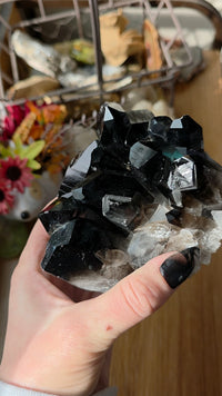 Smoky Quartz Cluster's