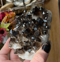 Smoky Quartz Cluster's